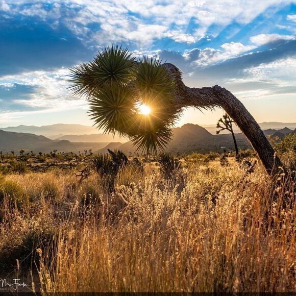 Some Amazing JT sunsets! - Picture 14 of 16